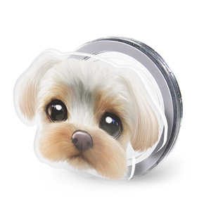 Sarang the Yorkshire Terrier Face Acrylic Magnet Tok (for MagSafe)