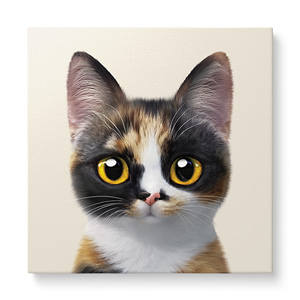 Mayo the Tricolor cat Art Canvas