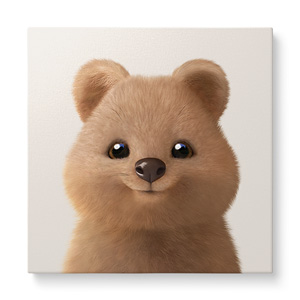 Toffee the Quokka Art Canvas
