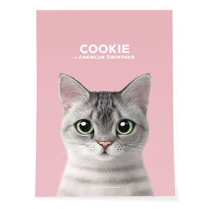 Cookie the American Shorthair Art Poster