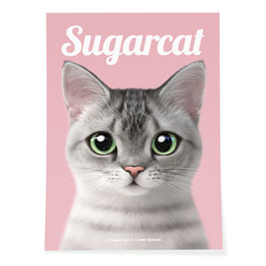 Cookie the American Shorthair Magazine Art Poster