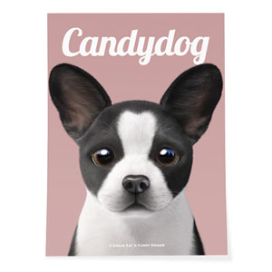Franky the French Bulldog Magazine Art Poster
