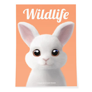Carrot the Rabbit Magazine Art Poster