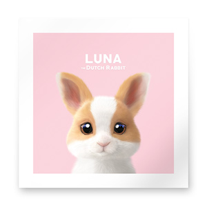 Luna the Dutch Rabbit Art Print