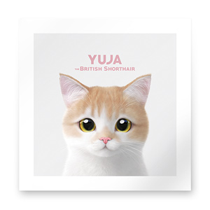 Yuja the British Shorthair Art Print