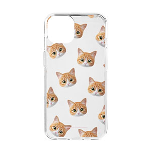 Hobak the Cheese Tabby Face Patterns Clear Jelly Case