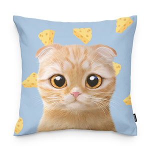 Cheddar’s Cheese Throw Pillow