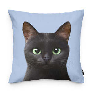 Zoro the Black Cat Throw Pillow