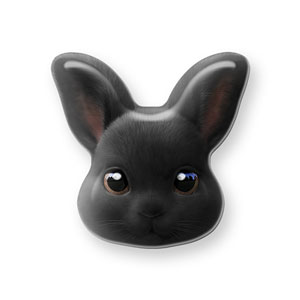 Black Jack the Rabbit Face Shape Epoxy Tok