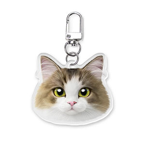 Summer the Norwegian Froest Face Acrylic Keyring