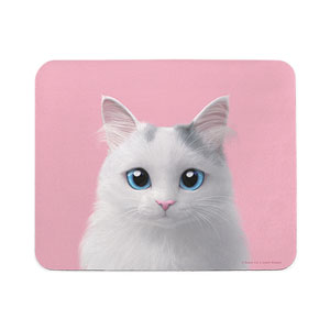Coco the Ragdoll Mouse Pad