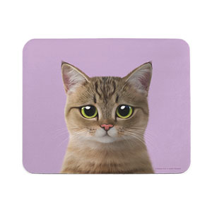 Lulu the Tabby cat Mouse Pad