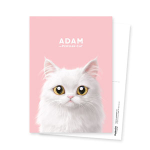 Adam Postcard