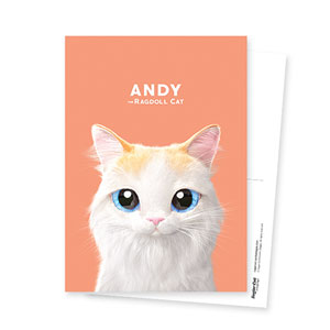 Andy Postcard