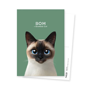 Bom the Siamese Postcard
