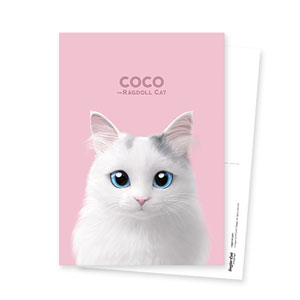 Coco the Ragdoll Postcard