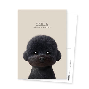 Cola the Medium Poodle Postcard