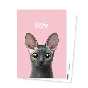 Cong the Cornish Rex Postcard