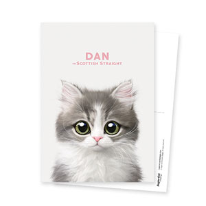 Dan the Kitten Postcard