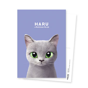 Haru Postcard