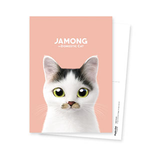Jamong Postcard