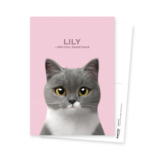 Lily Postcard