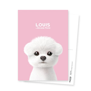 Louis the Bichon Frise Postcard