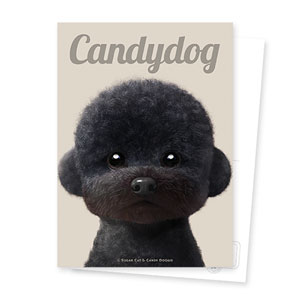 Cola the Medium Poodle Magazine Postcard