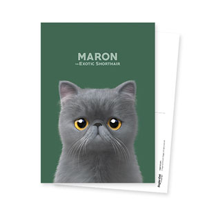 Maron Postcard