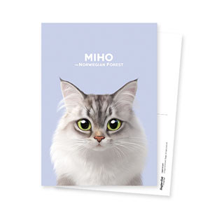 Miho the Norwegian Forest Postcard