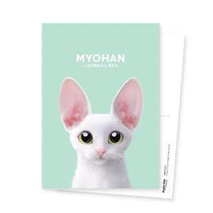 Myohan Postcard