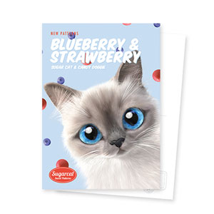 Momo’s Blueberry &amp; Strawberry New Patterns Postcard