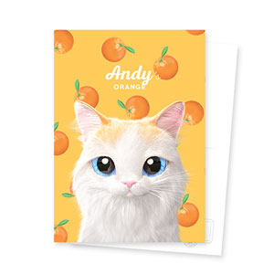 Andy’s Orange Postcard