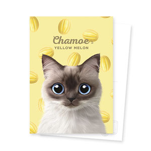 Chamoe’s Yellow Melon Postcard