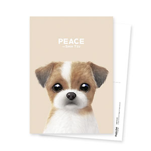 Peace the Shih Tzu Postcard