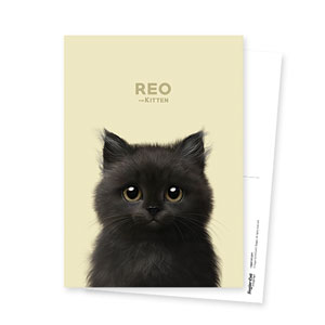 Reo the Kitten Postcard
