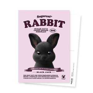 Black Jack the Rabbit New Retro Postcard