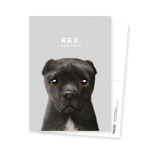 Rex Postcard