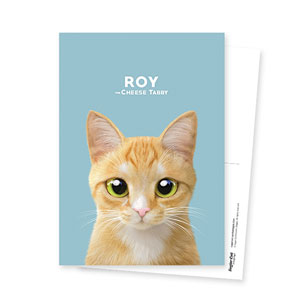 Roy the Cheese Tabby Postcard