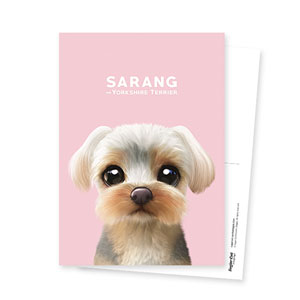 Sarang the Yorkshire Terrier Postcard