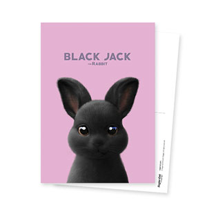Black Jack the Rabbit Postcard