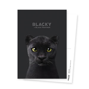 Blacky the Black Panther Postcard
