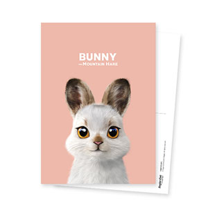 Bunny the Mountain Hare Postcard