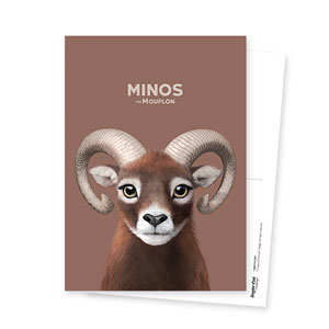Minos the Mouflon Postcard