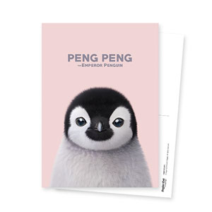 Peng Peng the Baby Penguin Postcard