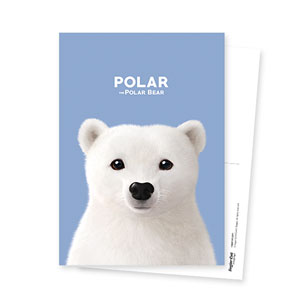 Polar the Polar Bear Postcard