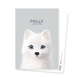 Polly the Arctic Fox Postcard