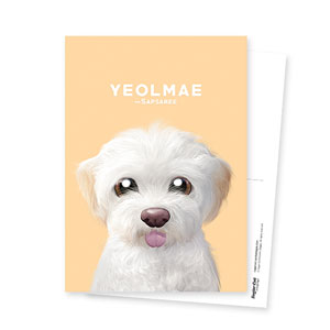 Yeolmae the Sapsaree Postcard