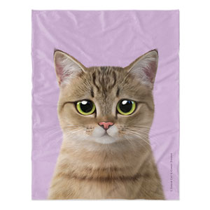 Lulu the Tabby cat Soft Blanket