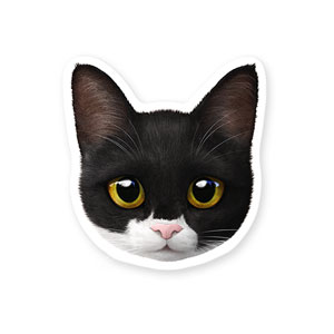 Byeol the Tuxedo Cat Face Deco Sticker